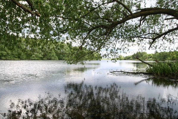 Пейзаж Красивой Рекой Лебеди Фоне Холмов Озеро Экологической Зоне Европы — стоковое фото