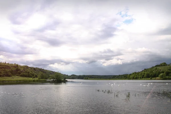 Krajina Krásnou Řekou Labutěmi Pozadí Kopců Jezero Ekologické Zóně Evropě — Stock fotografie