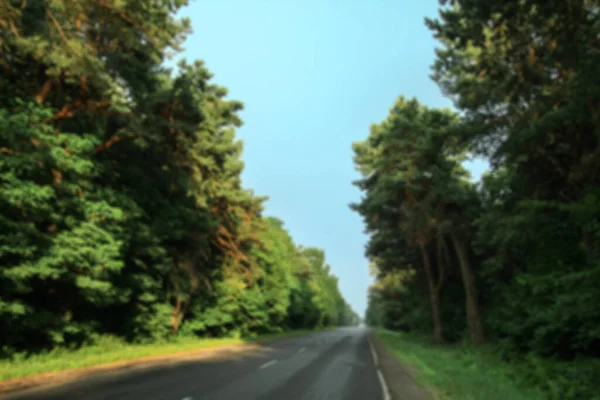Road Forest Defocus Background Trees Stock Image Design — Stock Photo, Image