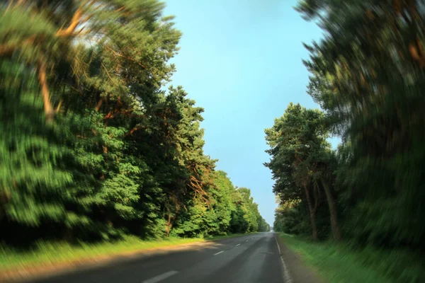 Дорога Лісі Дефокусі Тлі Дерев Зберігати Зображення Дизайну — стокове фото