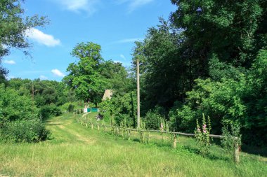 Köyde yol, güzel doğanın arasında. Yazın peyzaj. Stok fotoğraf arkaplanı