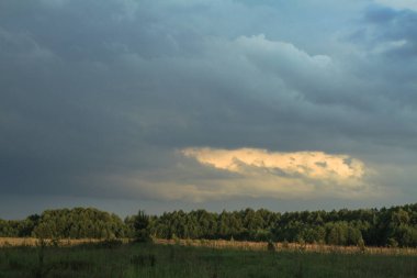 Doğanın güzel yaz manzarası. Yeşil çimenler ve tepeli ağaçlar. Tasarım için stok fotoğrafı