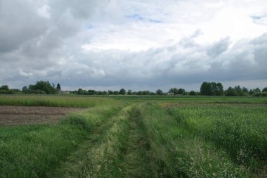 Çiftlik bahçesi. Tasarımın için endüstriyel arka plan. Tasarım için resim stoku.