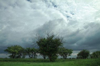 Eski bahçenin yakınındaki bir tarlada gök gürültülü destansı bulutlar. Cennetteki stok fotoğrafı arkaplanı.