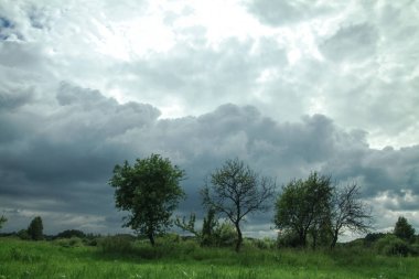 Eski bahçenin yakınındaki bir tarlada gök gürültülü destansı bulutlar. Cennetteki stok fotoğrafı arkaplanı.