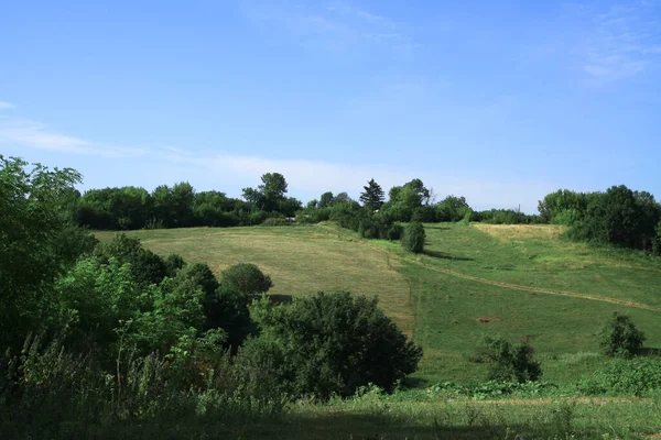 Hermoso Paisaje Verano Naturaleza Rural Vegetación Verde Hierba Árboles Con —  Fotos de Stock