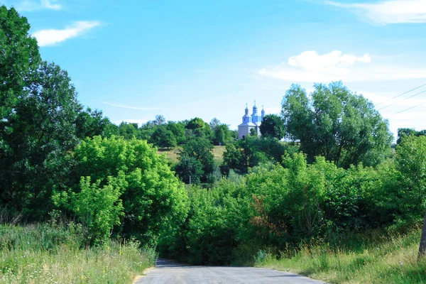 Sommerlandschaft Mit Bäumen Und Gras Schöner Hintergrund Für Ihr Design — Stockfoto