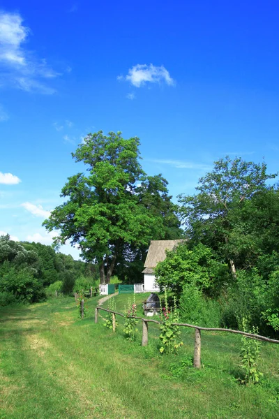 Straße Dorf Inmitten Wunderschöner Natur Landschaft Sommer Archivbild Hintergrund — Stockfoto