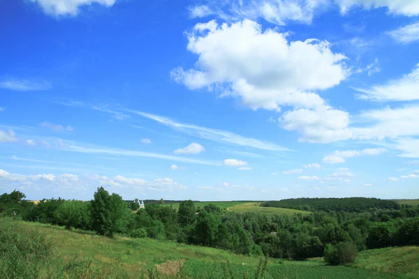 Schöne Sommerlandschaft Mit Naturlandschaft Grüne Vegetation Aus Gras Und Bäumen — Stockfoto