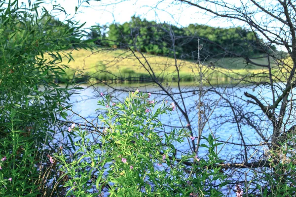 Beautiful River Highlands Summer Lake Ecologically Clean Park Reserve Background — Stock Photo, Image