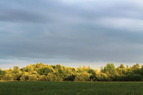 Gyönyörű Nyári Táj Természet Táj Zöld Növényzet Fák Dombokkal Készlet — Stock Fotó