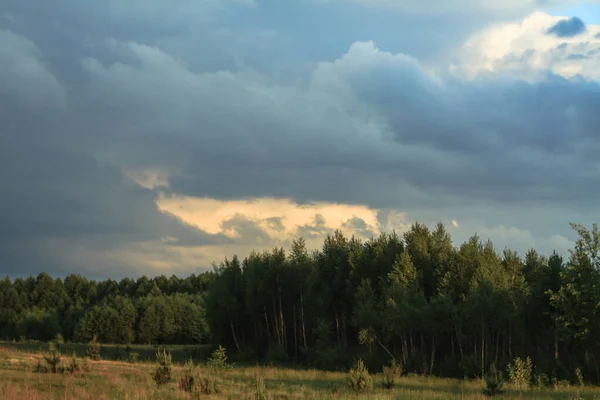 Bellissimo Paesaggio Estivo Campagna Natura Vegetazione Verde Erba Alberi Con — Foto Stock