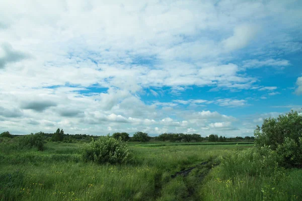 Beautiful Summer Landscape Nature Countryside Green Vegetation Grass Trees Hills — Stock Photo, Image