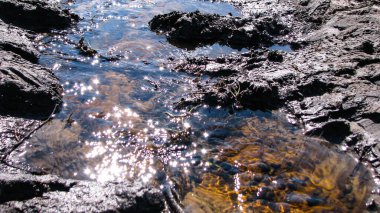Köyün dışında off-road. Şehre giden yolda geçilemez bir bataklık. Tasarım için sudaki toprak dokusu.