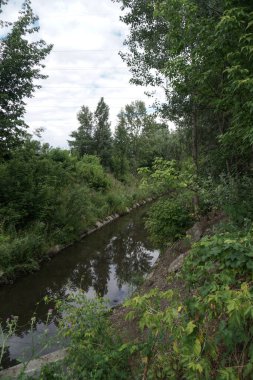 Küçük bir su kanalı. İsrafı doğayı kirleten doğaya yönlendirir. Stok fotoğraf arkaplanı