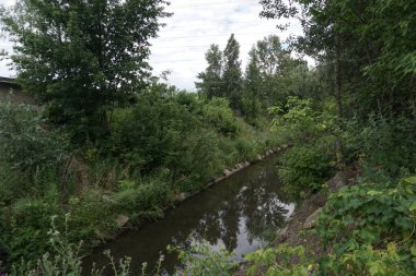 Küçük bir su kanalı. İsrafı doğayı kirleten doğaya yönlendirir. Stok fotoğraf arkaplanı