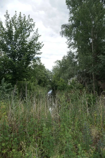 Küçük Bir Kanalı Srafı Doğayı Kirleten Doğaya Yönlendirir Stok Fotoğraf — Stok fotoğraf