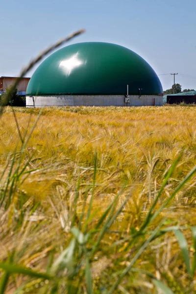 Биогазовый Завод Кукурузном Поле — стоковое фото