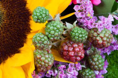 Kırmızı ve yeşil ahududu meyve çiçekler arasında