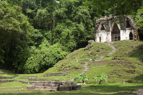 Palenque Mayan Ruínas Chiapas México — Fotografia de Stock