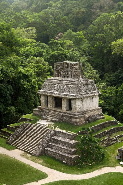 Templo Maia Sol Palenque México — Fotografia de Stock