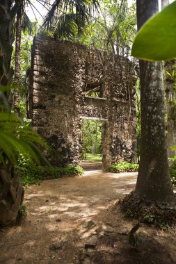 Chichen Itza, Yucatan, Meksika için harabe