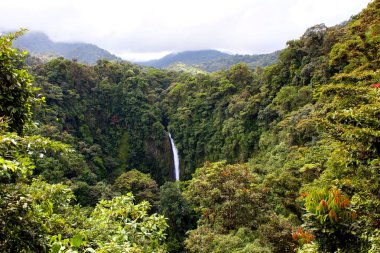 Ünlü Şelale La Fortuna (Costa Rica)
