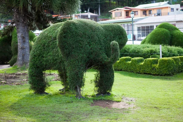 Francisco Alvardo Park Its Famous Topiary Zarcero Costa Rica — Stock Photo, Image