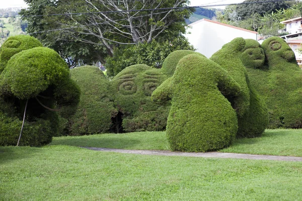 Parco Francisco Alvardo Con Suo Famoso Topiario Zarcero Costa Rica — Foto Stock