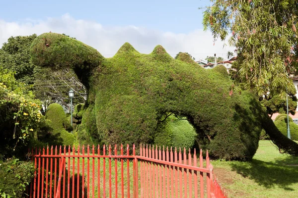 Francisco Alvardo Park Its Famous Topiary Zarcero — Stock Photo, Image