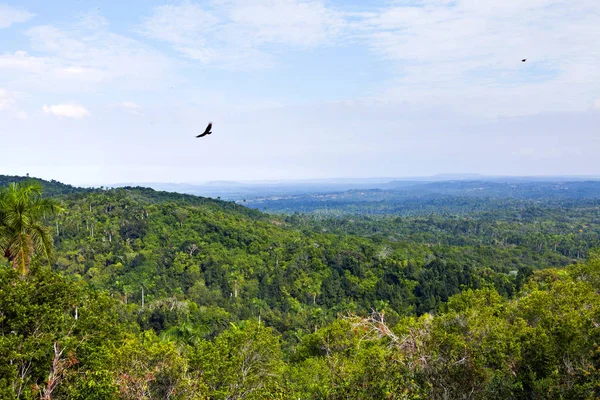 Uitzicht Las Terrazas Provincie Van Pinar Del Río Cuba — Stockfoto