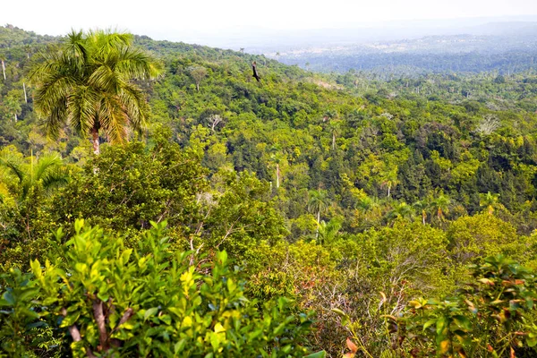 Veduta Las Terrazas Nella Provincia Pinar Del Rio Cuba — Foto Stock