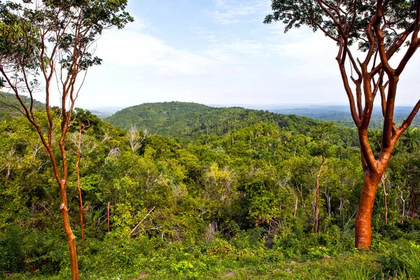 Uitzicht Las Terrazas Provincie Van Pinar Del Río Cuba — Stockfoto