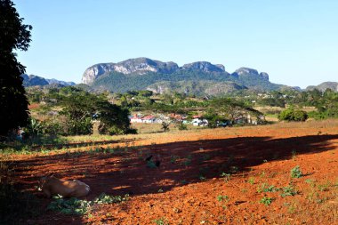Küba: Valle de Vinales (Unesco Dünya Mirası sit alanı görünümünü)