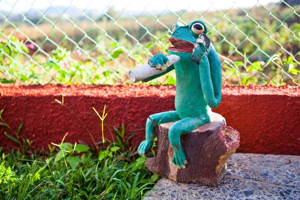 Smoking Green Frog — Stock Photo, Image