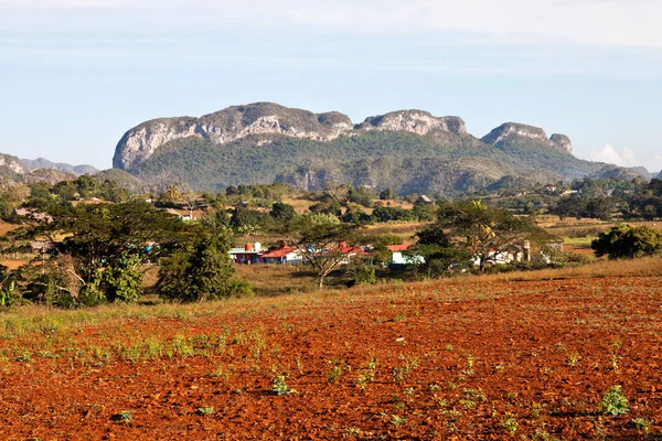 Küba: Valle de Vinales (Unesco Dünya Mirası sit alanı görünümünü)