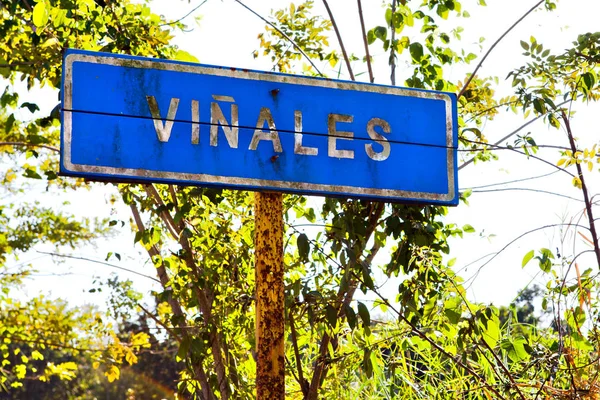 Signe Ville Commun Vinales Cuba — Photo