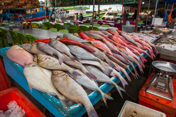 Peixes Frescos Mercado Peixe Bornéu Malásia — Fotografia de Stock