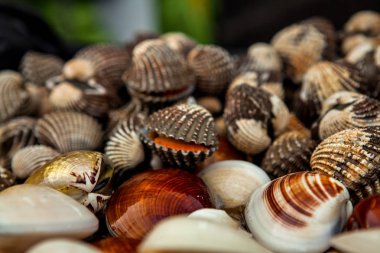 Borneo (Malezya balık pazarında üzerinde taze kabuklu deniz ürünleri)