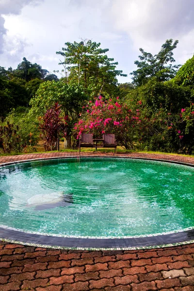 Small green swimming pool in a yard