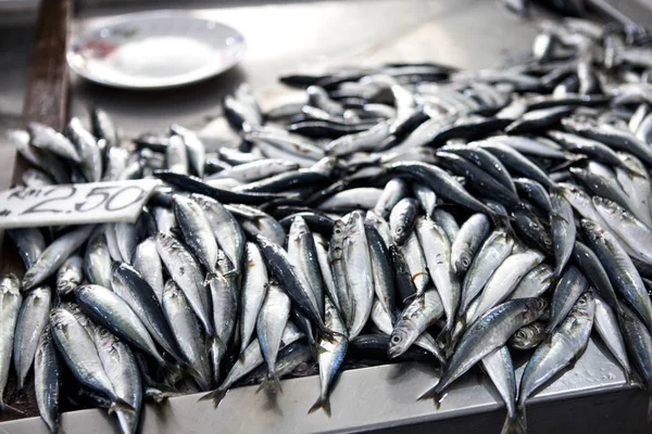 Čerstvé ryb na rybí trh na Borneu (Malajsie) — Stock fotografie
