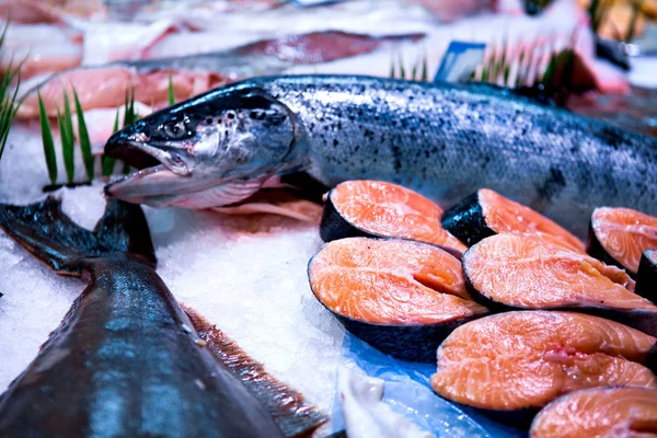 Čerstvé lososy na anglickém trhu na prodej. Korek/Irsko — Stock fotografie