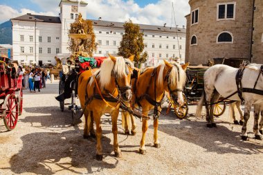 Salzburg, Avusturya - 8 Eylül 2018: At arabaları çekildi