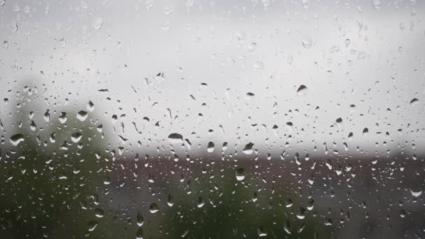 Gotas de lluvia en la ventana — Vídeo de stock