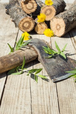 Küçük güzel sarı dandelions ve ahşap zemin üzerinde ön çim ile eski balta ile kısa doğru doğranmış wirewoods.