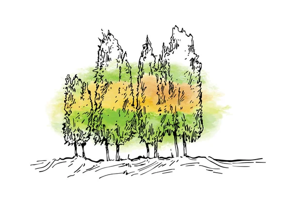 Hand getekend zomer landschap. — Stockvector