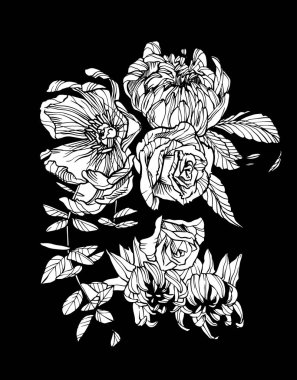 Çiçek illüstrasyon. Vecor sanat çiçek. İzole sanat