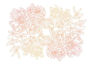 Çiçek illüstrasyon. Vecor sanat çiçek. İzole sanat