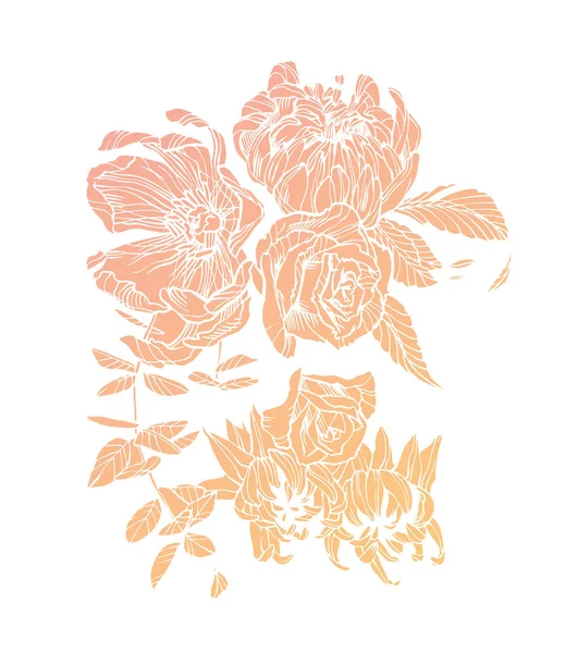 Květinové ilustrace. Vecor kresby květin. Izolovaná kresba — Stockový vektor