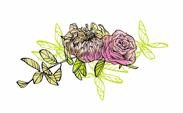 Composizione Floreale Illustrazione Fiori Rosa Opere Arte Botanica Illustrazione Disegnata — Foto Stock